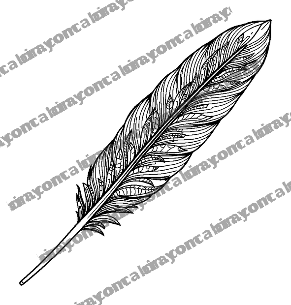 Dream Feather colouring page — free printable for adults