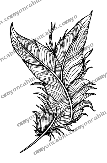 Dream Feather colouring page — free printable for adults