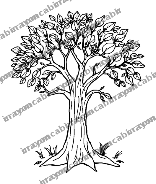 Five Senses Tree colouring page — free printable for teens