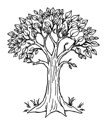 Five Senses Tree Colouring Page (Teens, Standard)
