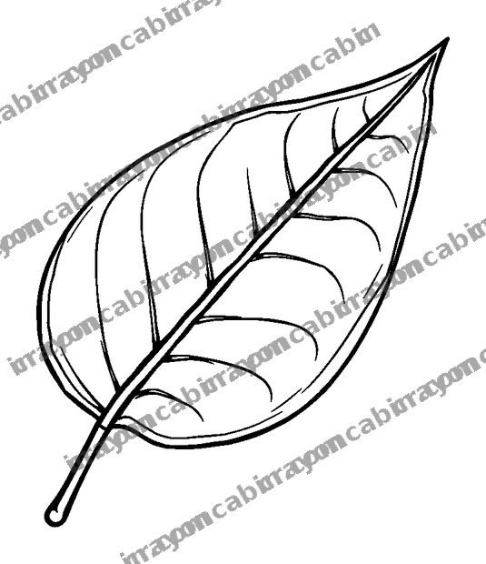 Floating Leaf colouring page — free printable for teens