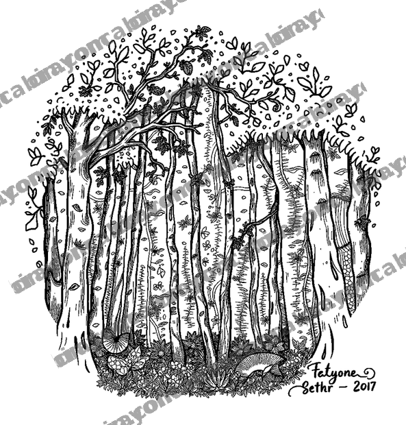 Forest Light Dappled colouring page — free printable for adults