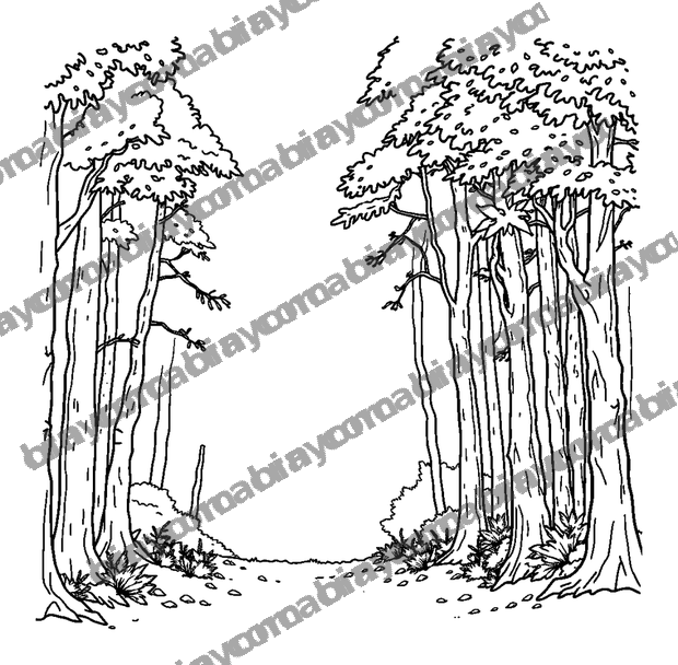 Forest Light Dappled colouring page — free printable for teens
