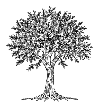 Gentle Breeze Tree Colouring Page (Adults, Intricate)