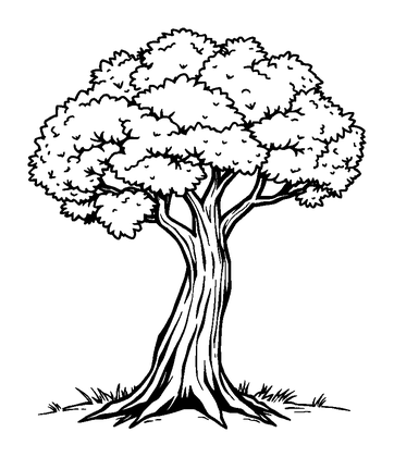 Gentle Breeze Tree Colouring Page (Teens, Standard)
