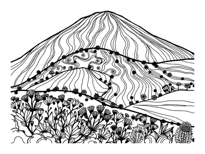 Gentle Hill Colouring Page (Adults, Standard)