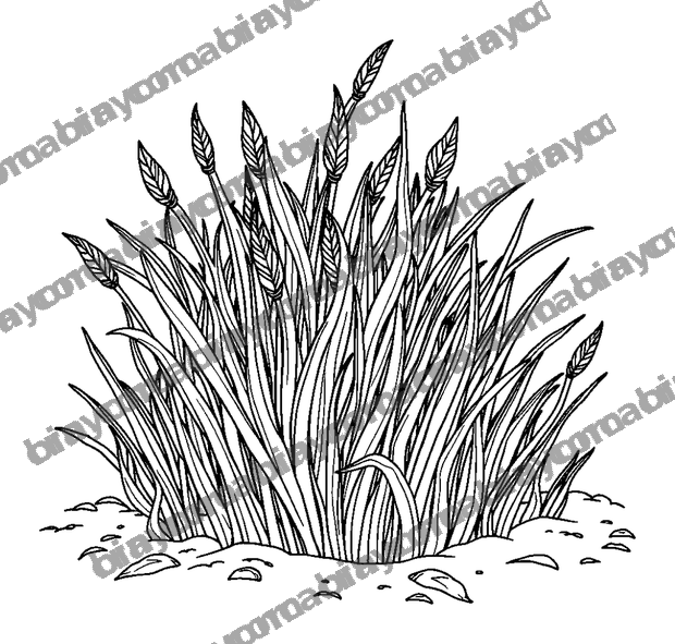 Grounding Barefoot Grass colouring page — free printable for adults