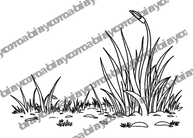 Grounding Barefoot Grass colouring page — free printable for teens