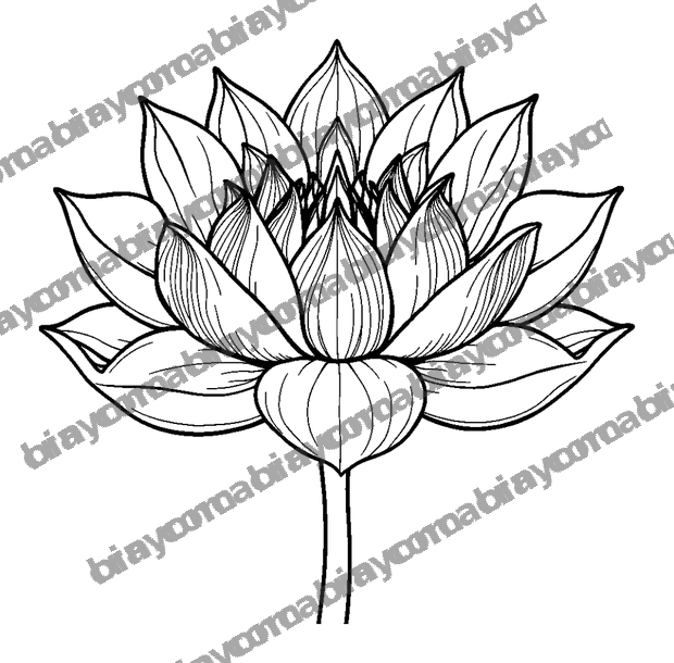 Lotus Flower colouring page — free printable for adults