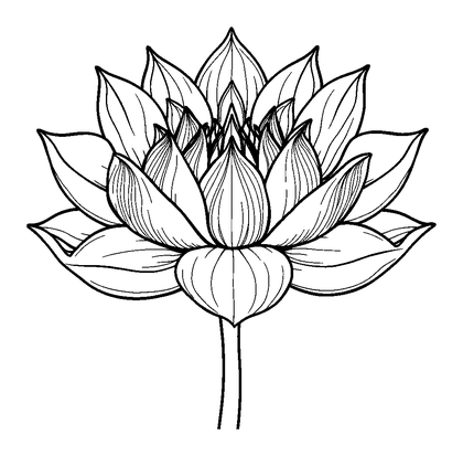 Lotus Flower Colouring Page (Adults, Intricate)