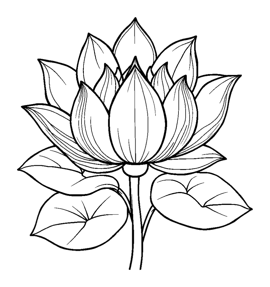 Lotus Flower colouring page — free printable for adults