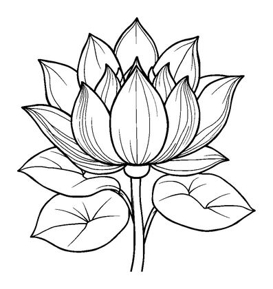 Lotus Flower Colouring Page (Adults, Standard)