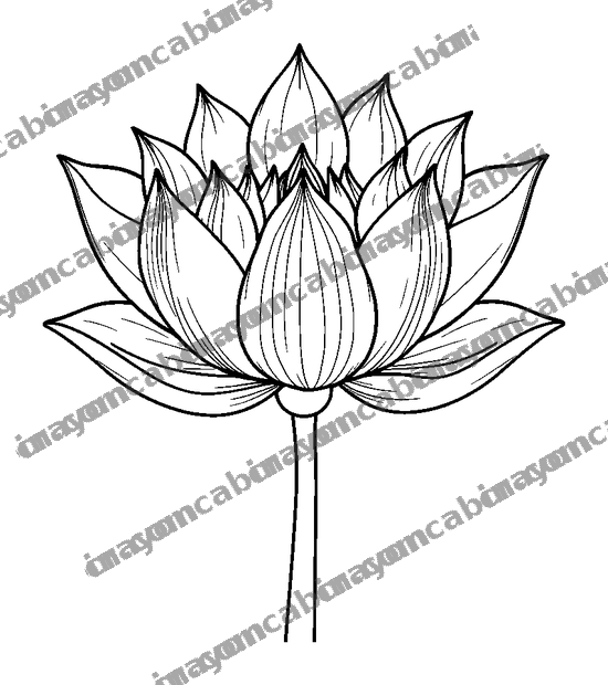 Lotus Flower colouring page — free printable for adults