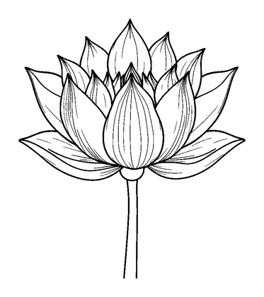 Lotus Flower Colouring Page (Adults, Standard)