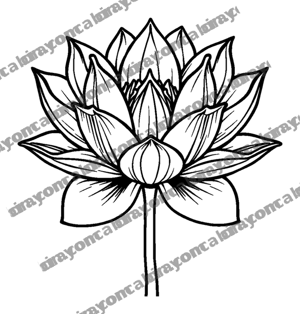 Lotus Flower colouring page — free printable for teens