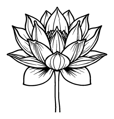 Lotus Flower Colouring Page (Teens, Standard)