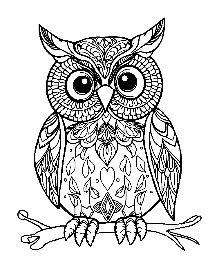 Mindful Owl colouring page — free printable for adults