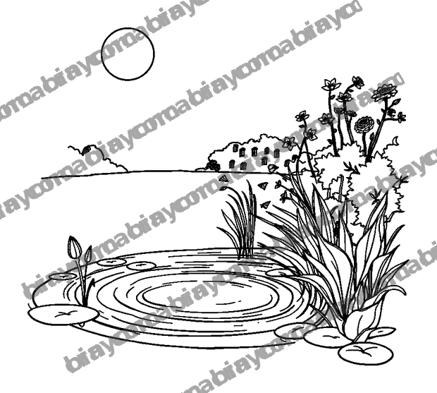 Moonlit Pond colouring page — free printable for adults