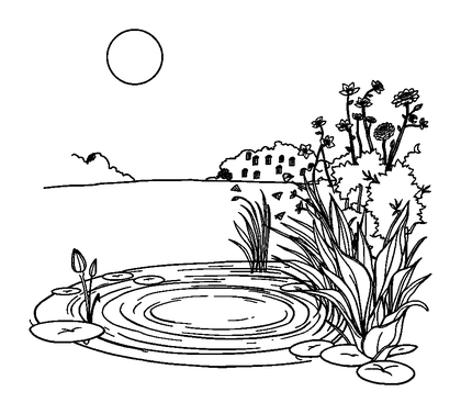 Moonlit Pond Colouring Page (Adults, Standard)