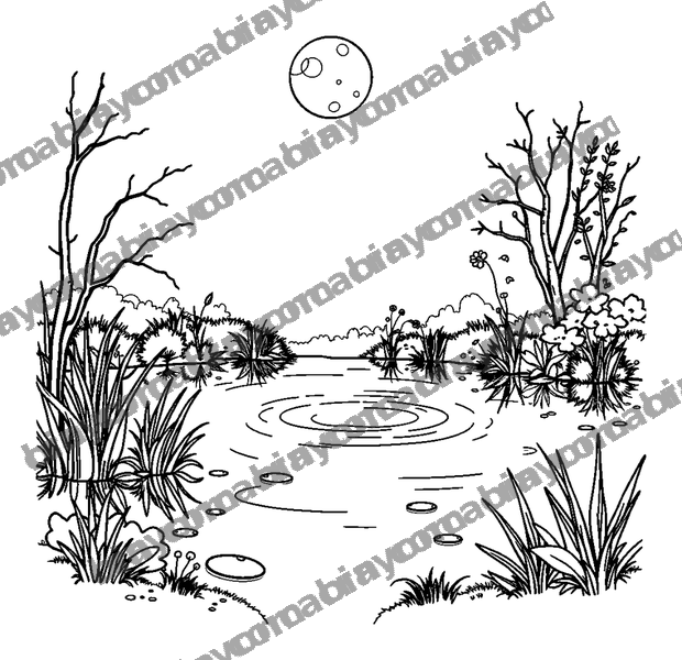 Moonlit Pond colouring page — free printable for teens