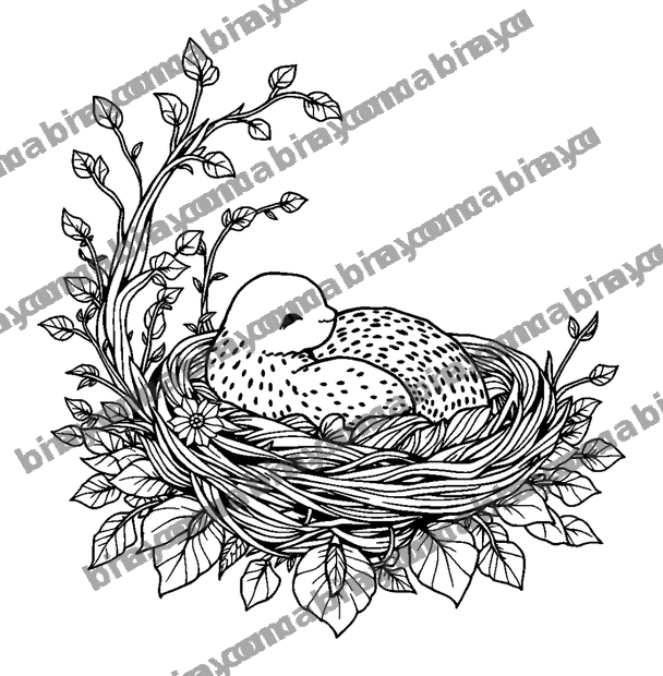 Nest Soft Rest colouring page — free printable for adults