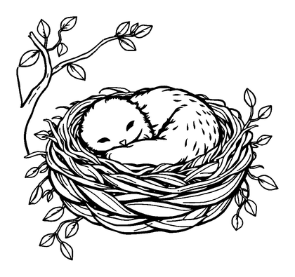 Nest Soft Rest Colouring Page (Adults, Standard)