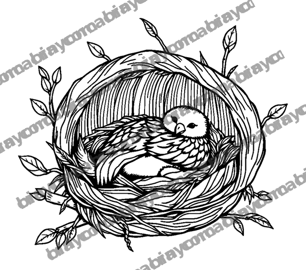 Nest Soft Rest colouring page — free printable for teens
