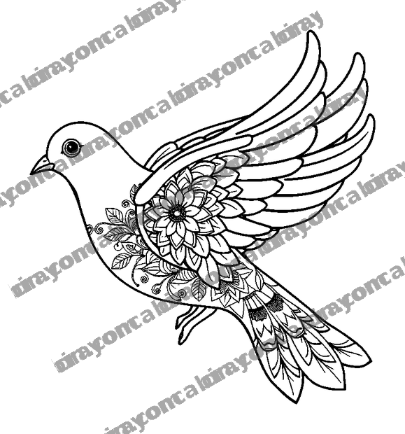 Peace Dove colouring page — free printable for adults