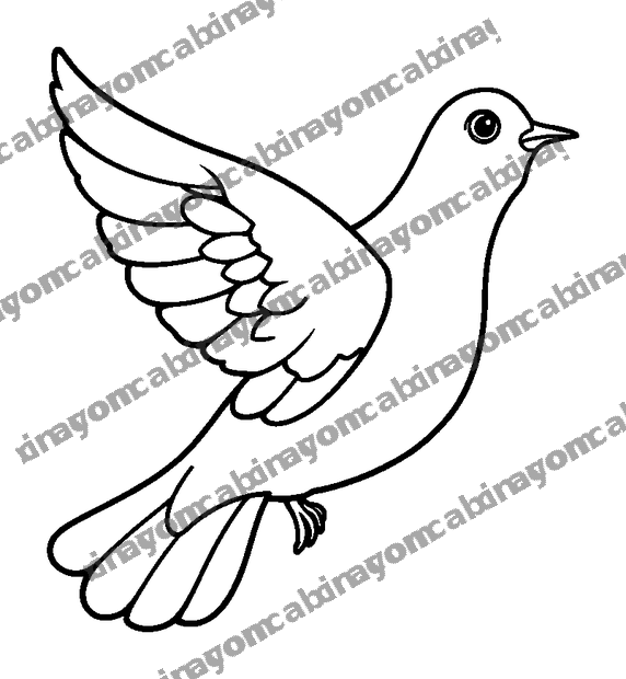 Peace Dove colouring page — free printable for teens
