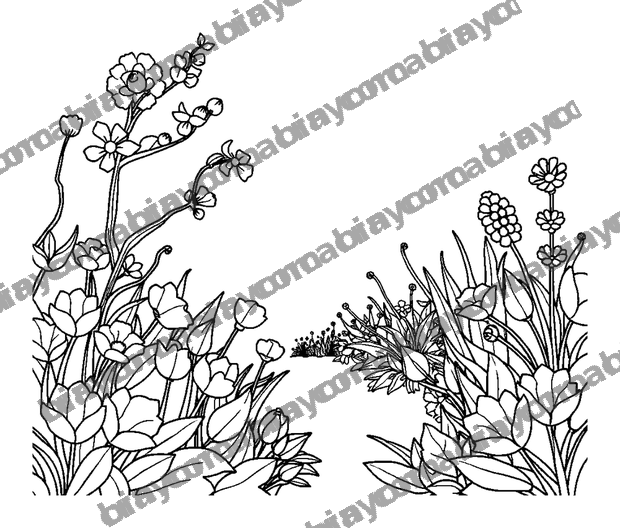 Peaceful Garden colouring page — free printable for adults