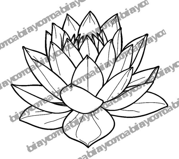 Peaceful Pond Lily colouring page — free printable for adults