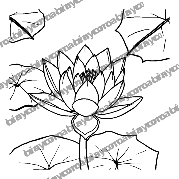 Peaceful Pond Lily colouring page — free printable for teens