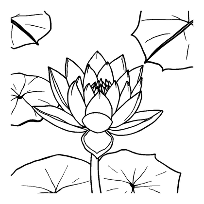 Peaceful Pond Lily Colouring Page (Teens, Standard)