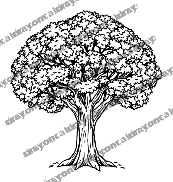 Peaceful Tree colouring page — free printable for teens