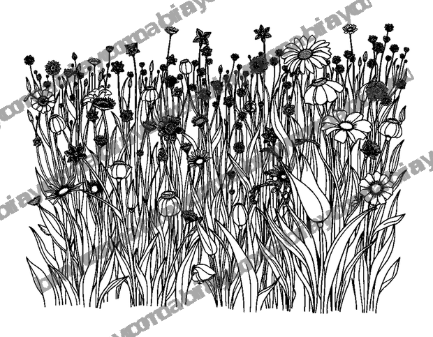 Quiet Meadow colouring page — free printable for adults