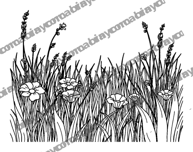 Quiet Meadow colouring page — free printable for adults