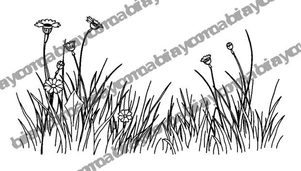Quiet Meadow colouring page — free printable for teens