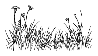 Quiet Meadow Colouring Page (Teens, Standard)