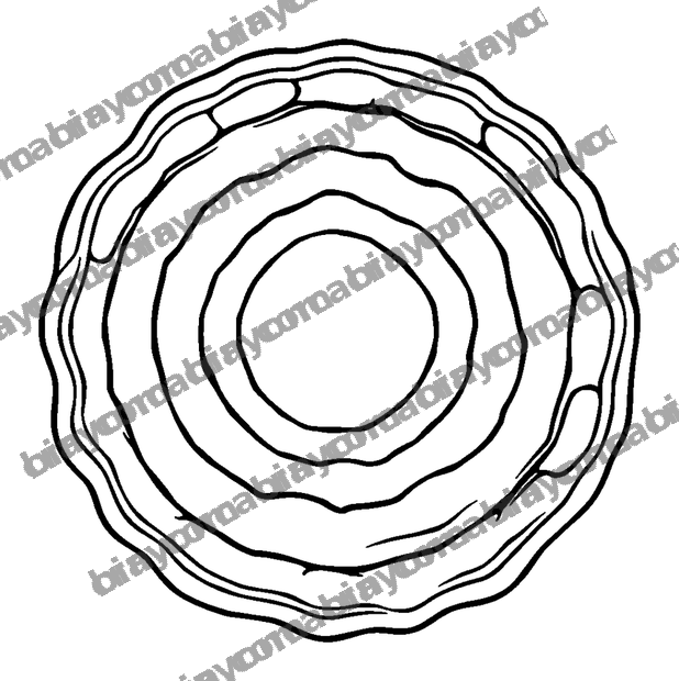 Ripple Circle colouring page — free printable for teens