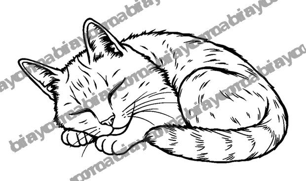 Sleeping Cat colouring page — free printable for teens