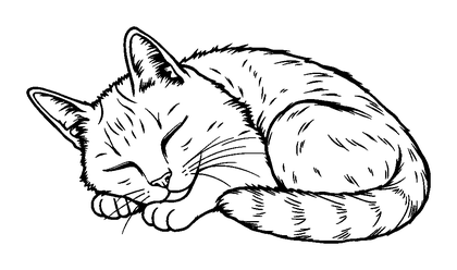 Sleeping Cat Colouring Page (Teens, Standard)