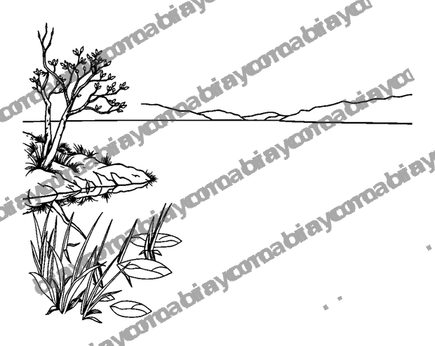 Still Lake colouring page — free printable for adults