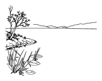Still Lake Colouring Page (Adults, Standard)