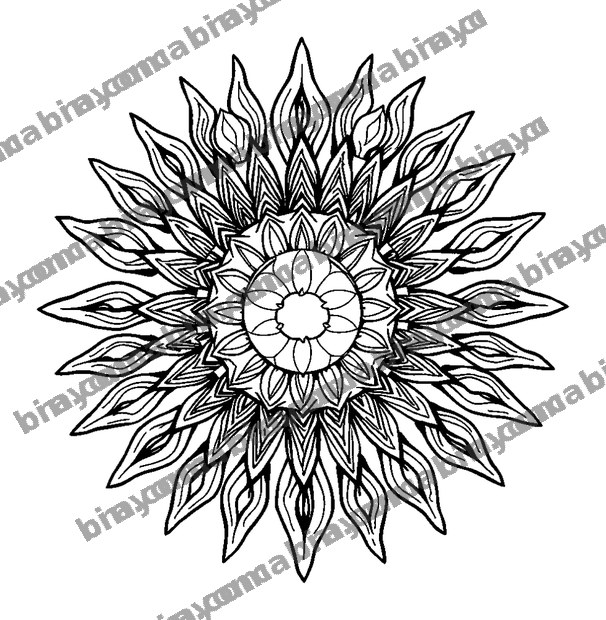 Sun Mandala colouring page — free printable for adults